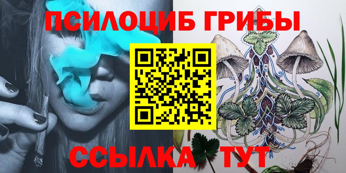 Псилоцибиновые грибы Cubensis  Псилоцибиновые грибы GOLDEN TEACHER  Ноябрьск  Вход с VPN 