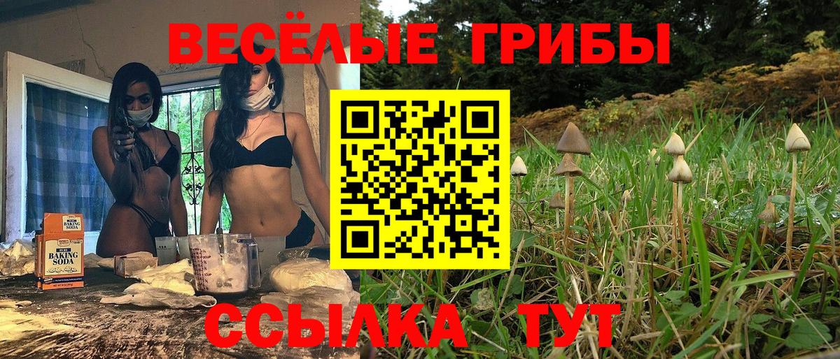 Псилоцибиновые грибы Magic Shrooms Ноябрьск
